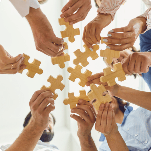 Disciplina empresarial